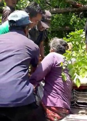 Sempat di Kabarkan Kritis, Nenek Asal Lumajang Meninggal Dunia Usai Tertimpa Pohon Tumbang