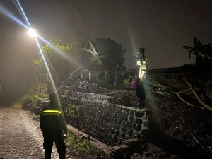 Polres Batu Cek TKP Pohon Tumbang DI Kompleks Petilasan Mbah Dahuru