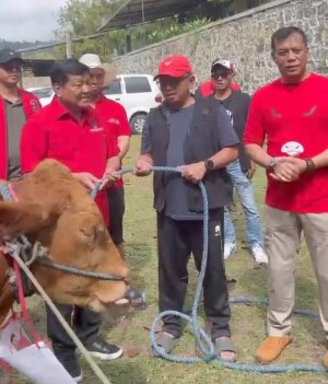 DPC PDI Perjuangan Kota Batu Sembelih Hewan Kurban 5 Ekor Sapi, Berbagi Kebahagiaan Bersama Masyarakat di Moment Idul Adha 2026
