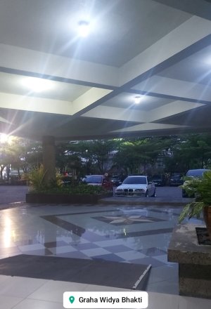 Tolak Greenpeace Ke Bali, Siap Mendukung Pak Jokowi Untuk Mensukseskan KTT G20 Di Bali