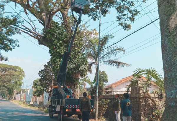 DPUPR Kota Batu, Responsif Atas Laporan Masyarakat Ketika Terjadi PJU Padam