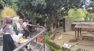 Batu Secret Zoo Jadi Magnet Tersendiri Bagi Para Wisatawan Yang Berlibur Ke Batu