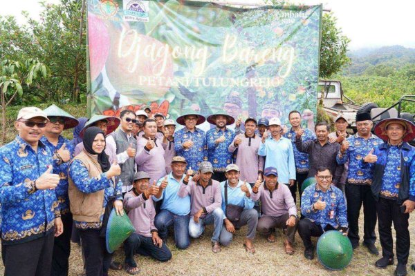 Tinjau Kebun Apel di Dusun Besta, Pemkot Batu Komitmen Tingkatkan Potensi Produksi Apel di Desa Tulungrejo